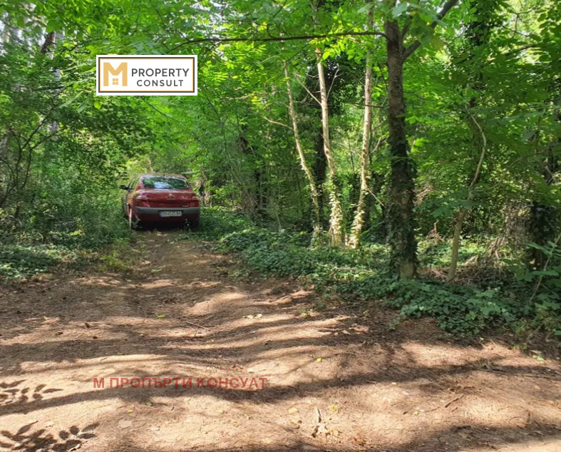 ������� ������ | Imot.bg � ����������� 4