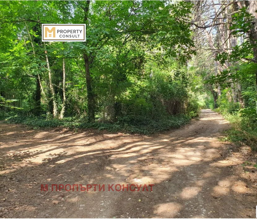 ������� ������ | Imot.bg � ����������� 1