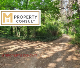 ������ ������� ������