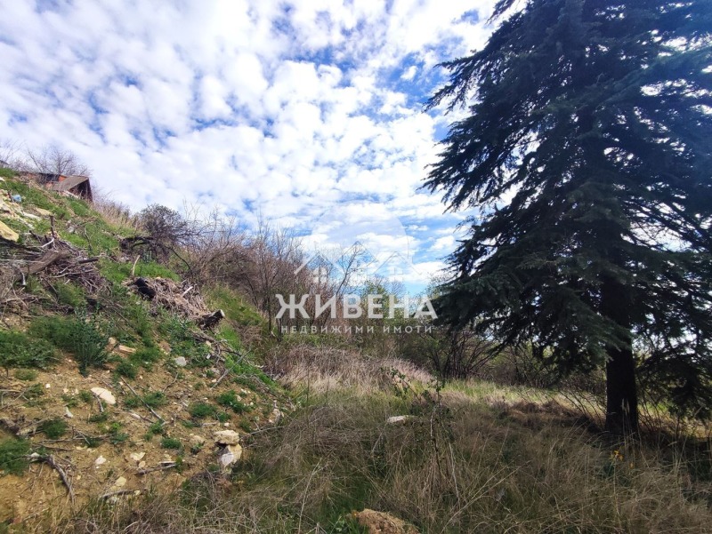 For Sale  Plot Varna , k.k. Zlatni pyasatsi , 524 sq.m | 42272046 - image [7]