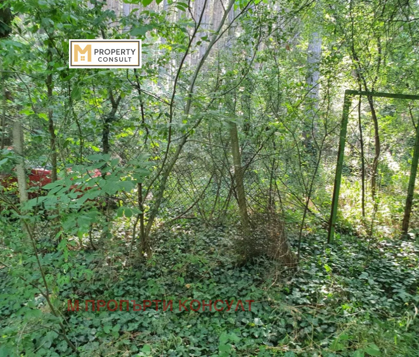 Продава ПАРЦЕЛ, гр. Плевен, м-т Мъртва долина, снимка 6 - Парцели - 54224966