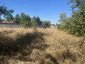 Продава ПАРЦЕЛ, с. Ягода, област Стара Загора, снимка 4