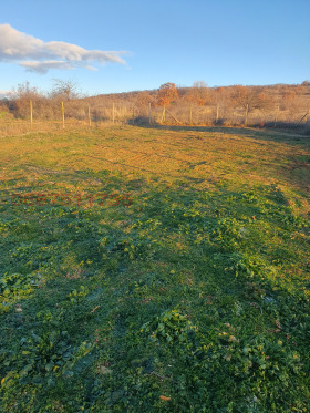 ������� ������ | Imot.bg � ����� ������ 8