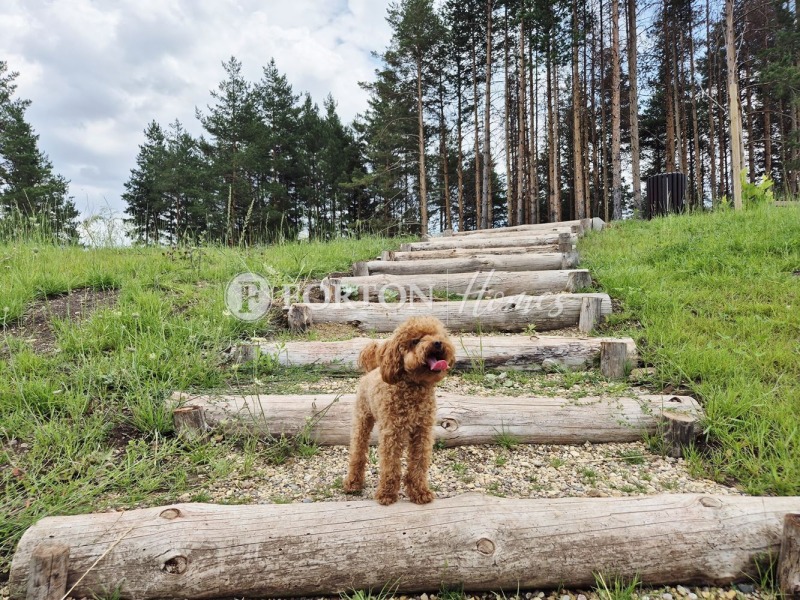 Na sprzedaż  Dom Sofia , m-t Kambanite , 276 mkw | 58500059 - obraz [14]