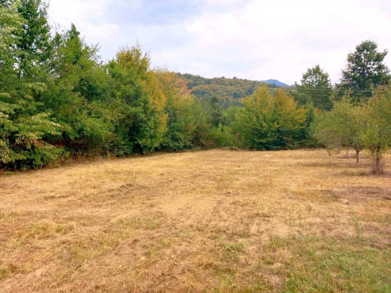 ������� ������ | Imot.bg � ����������� 5