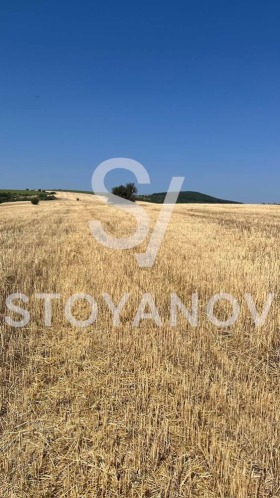 ������� ���� | Imot.bg � ����� ������ 7