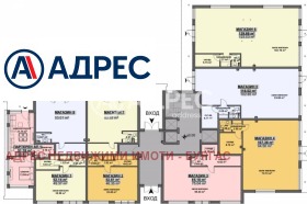 ����� ������� �������,���� ������, ���������