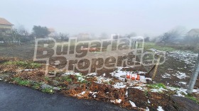 ����� ������� ������,�. ������, ������ ���������