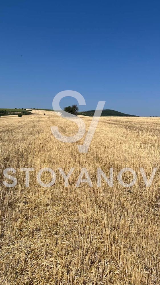 Продава КЪЩА, с. Пожарево, област София област, снимка 7 - Къщи - 55613599