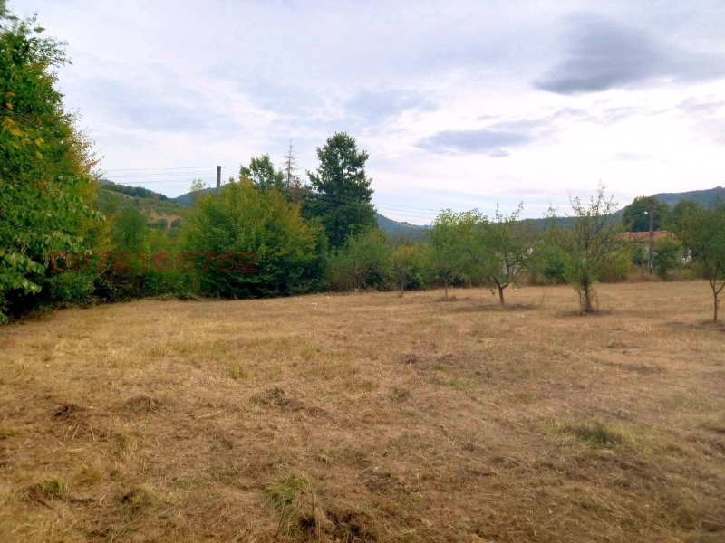 Продава ПАРЦЕЛ, с. Рибарица, област София област, снимка 2 - Парцели - 52909213