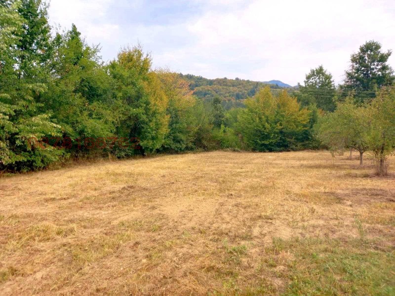 Продава ПАРЦЕЛ, с. Рибарица, област София област, снимка 5 - Парцели - 52909213