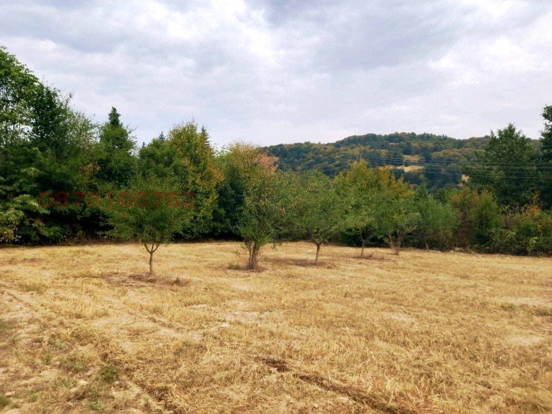 Продава ПАРЦЕЛ, с. Рибарица, област София област, снимка 4 - Парцели - 52909213