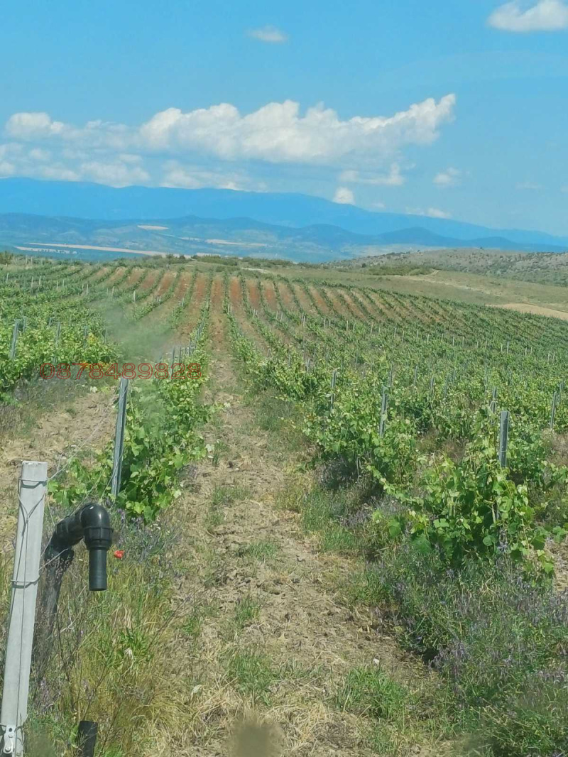 Продава ЗЕМЕДЕЛСКА ЗЕМЯ, с. Полско Пъдарево, област Сливен