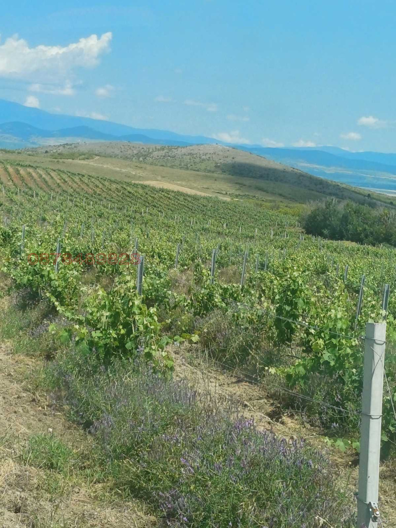 Продава ЗЕМЕДЕЛСКА ЗЕМЯ, с. Полско Пъдарево, област Сливен, снимка 2 - Земеделска земя - 52769935