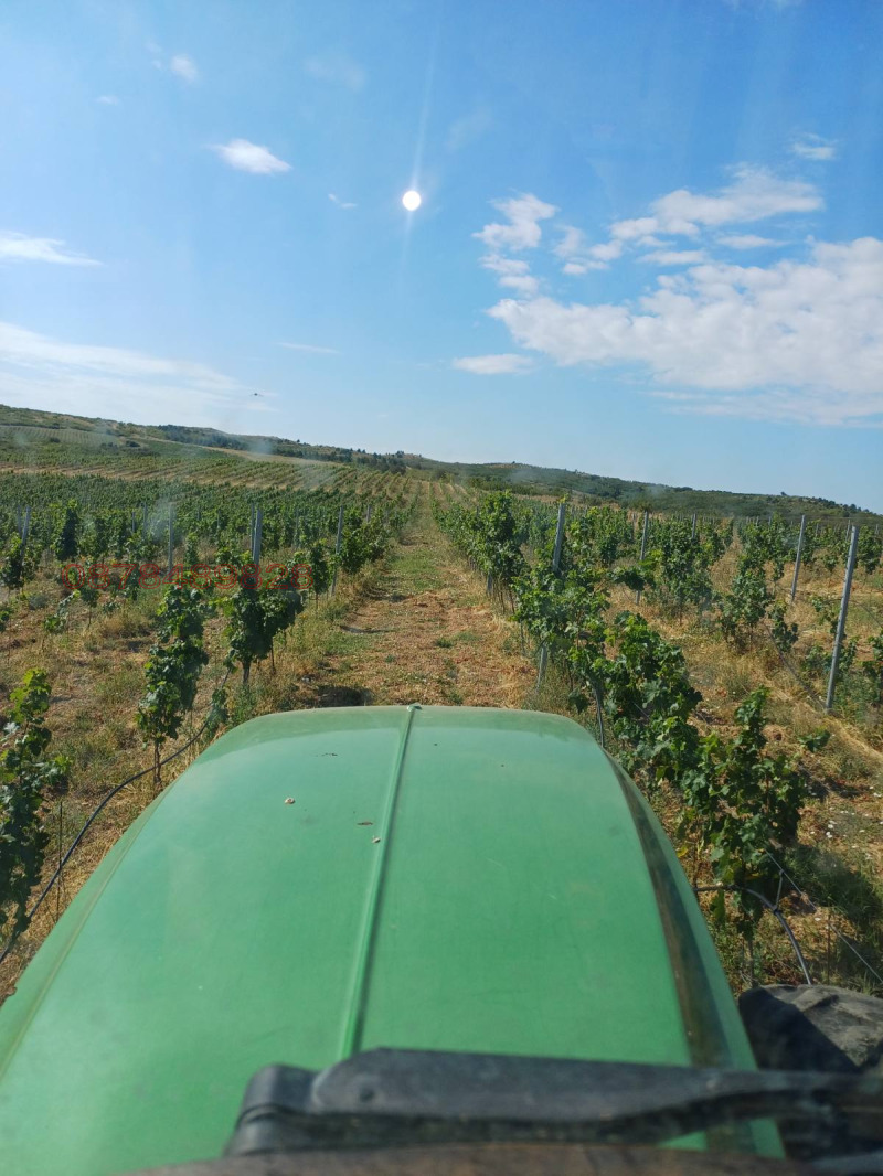 Продава ЗЕМЕДЕЛСКА ЗЕМЯ, с. Полско Пъдарево, област Сливен, снимка 8 - Земеделска земя - 52769935