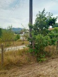 Продава ПАРЦЕЛ, с. Рибарица, област София област, снимка 6