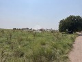 Продава  Парцел област Пловдив , с. Калековец , 910 кв.м | 61548350 - изображение [2]