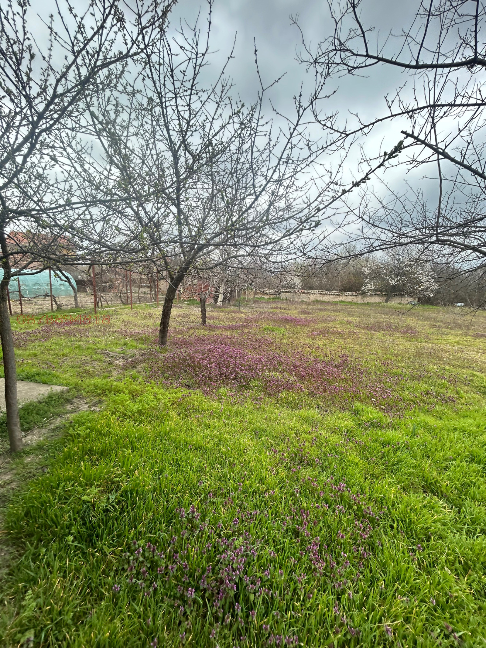 ������� ���� | Imot.bg � ����������� 8