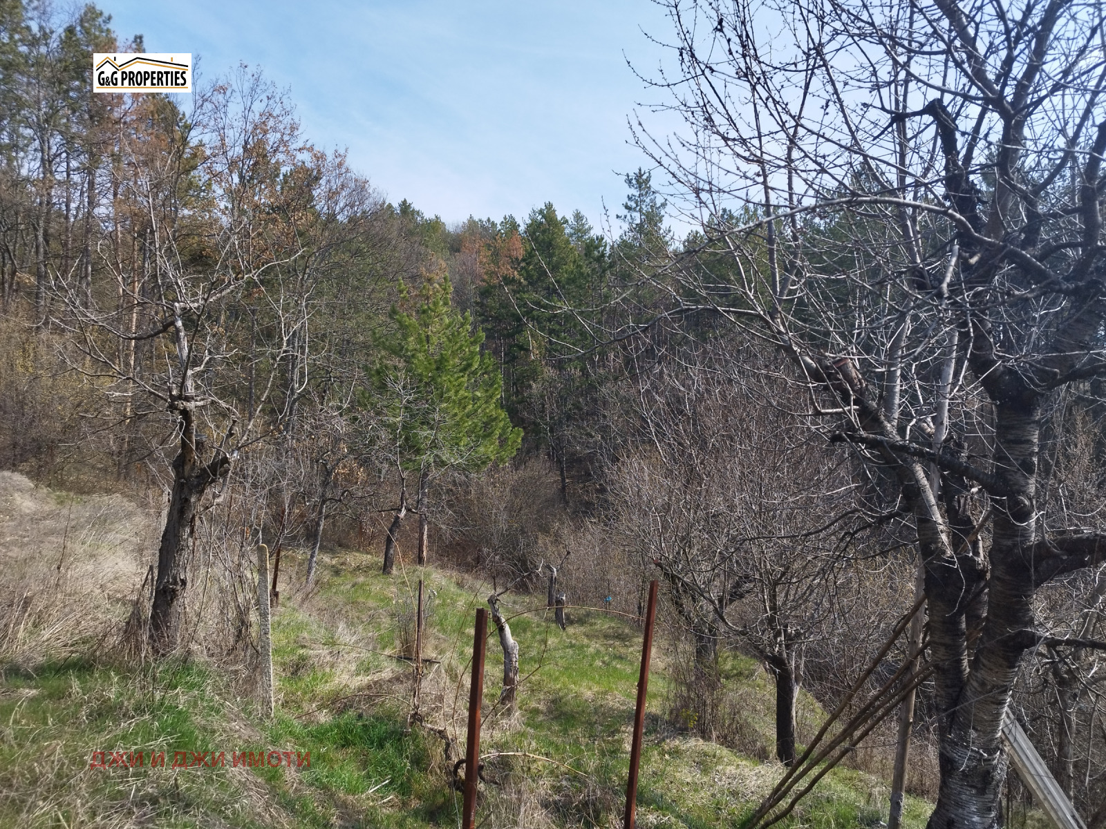 ������� ������ | Imot.bg � ����������� 2