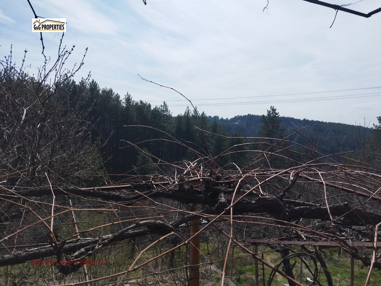 ������� ������ | Imot.bg � ����������� 4