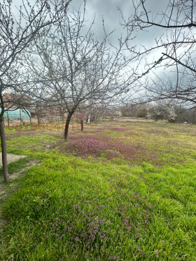 ������� ���� | Imot.bg � ����� ������ 8