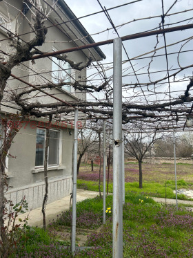 ������� ���� | Imot.bg � ����� ������ 11