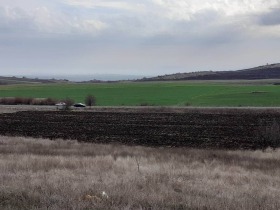 Plot Bryastovets, Burgas 1