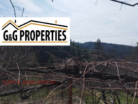 ������� ������ | Imot.bg � ����� ������ 4