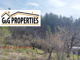 ����� ������� ������,���� �����, ��. ���� �����