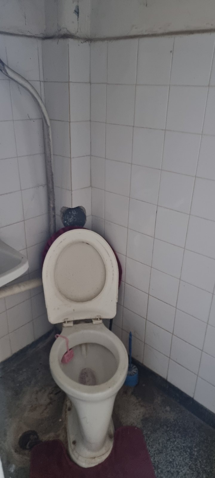 Na prodej  Podlaha domu Razgrad , Žitnica , 110 m2 | 34113545 - obraz [7]