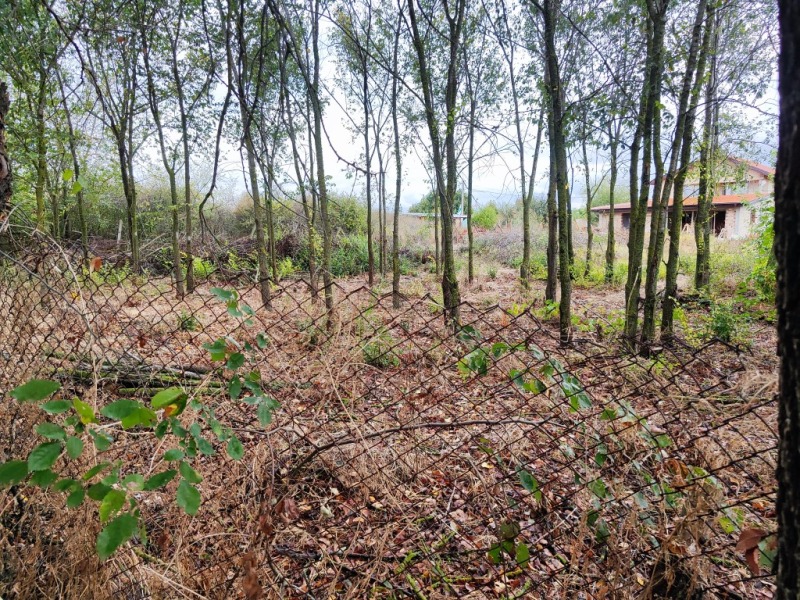 Продава ПАРЦЕЛ, с. Тръстиково, област Бургас, снимка 2 - Парцели - 53279611