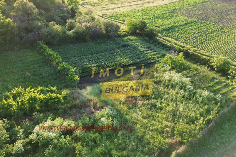 Til salg  Jord region Kardzhali , Ostrovitsa , 620 dka | 89161627