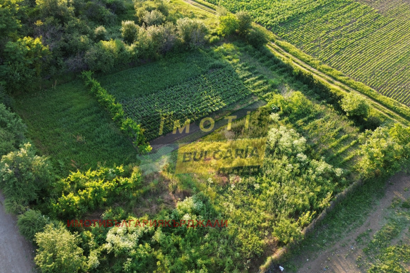 Til salg  Jord region Kardzhali , Ostrovitsa , 620 dka | 89161627 - billede [2]