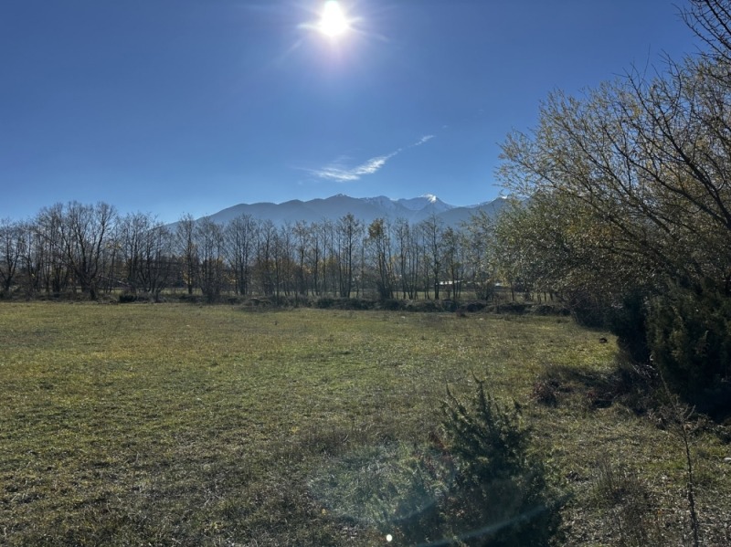 Продава ПАРЦЕЛ, гр. Разлог, област Благоевград, снимка 6 - Парцели - 52412371