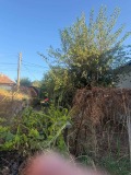 Продава КЪЩА, с. Милковица, област Плевен, снимка 7