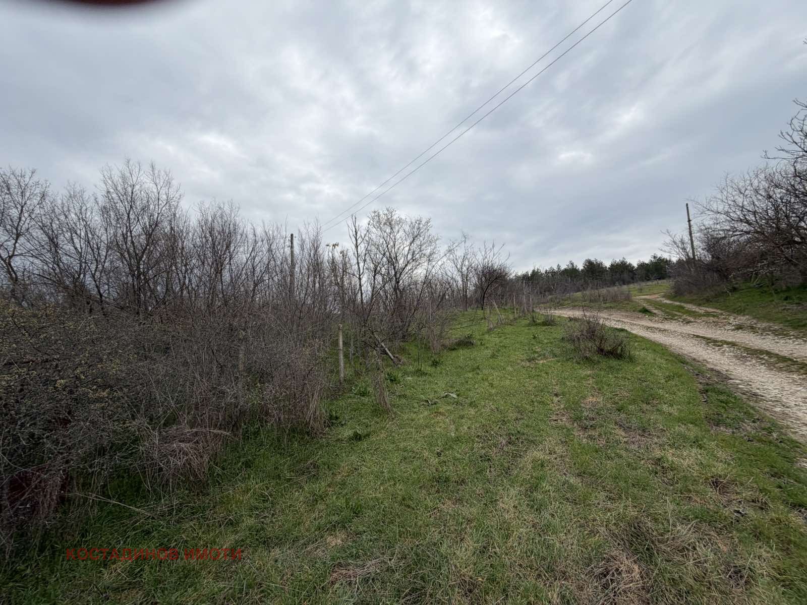 ������� ������ | Imot.bg � ����������� 11