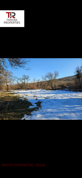 Vilă Caliște, regiunea Pernik 3