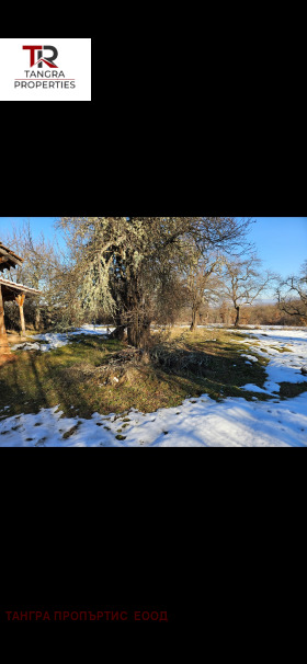 Villa Kalishte, region Pernik 5