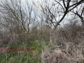 ������� ������ | Imot.bg � ����� ������ 2