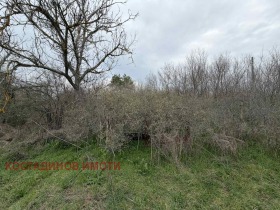 ������� ������ | Imot.bg � ����� ������ 6