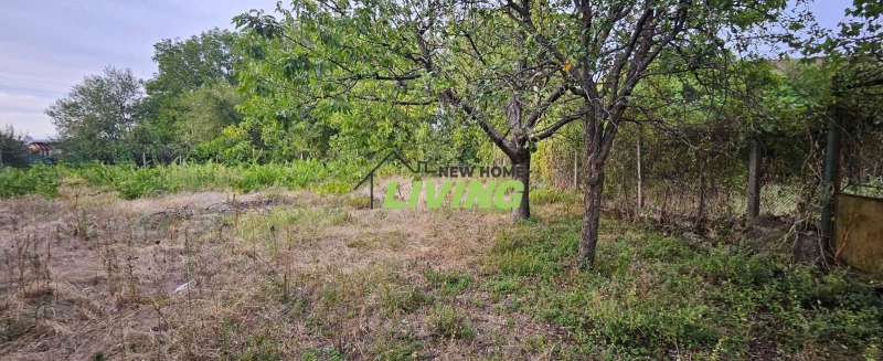 De vânzare  Complot regiunea Plovdiv , Cierven , 980 mp | 58394053 - imagine [2]