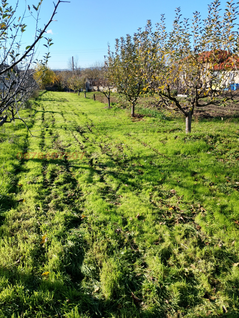 Продава ПАРЦЕЛ, с. Дибич, област Шумен, снимка 2 - Парцели - 52782949