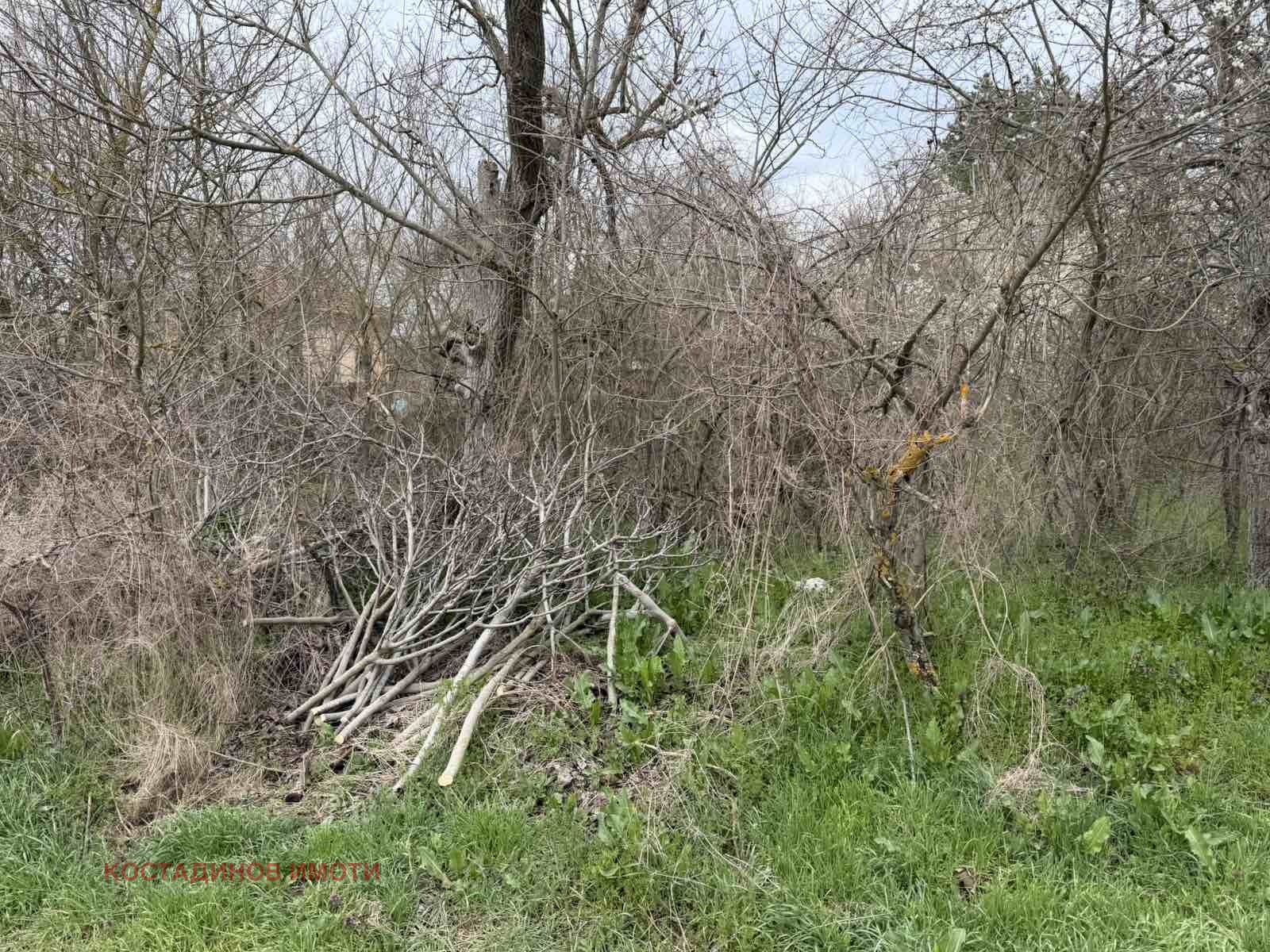 Продава ПАРЦЕЛ, с. Братя Даскалови, област Стара Загора, снимка 5 - Парцели - 54054545