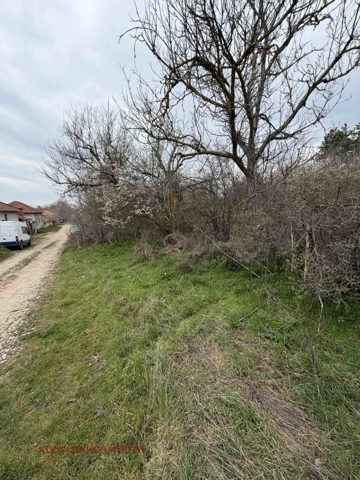 Продава ПАРЦЕЛ, с. Братя Даскалови, област Стара Загора, снимка 9 - Парцели - 54054545