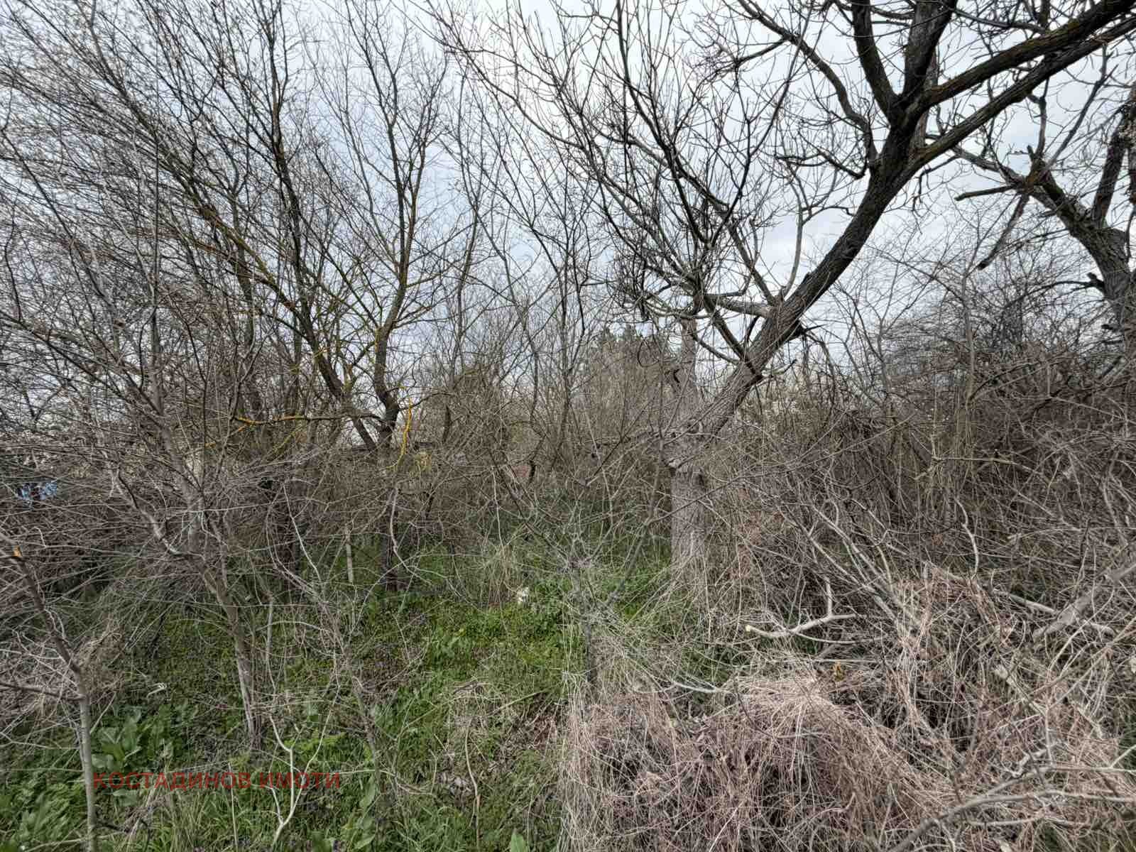 Продава ПАРЦЕЛ, с. Братя Даскалови, област Стара Загора, снимка 2 - Парцели - 54054545