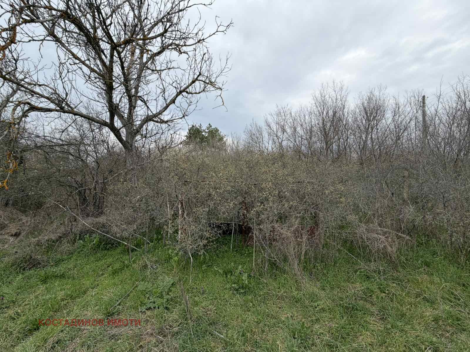 Продава ПАРЦЕЛ, с. Братя Даскалови, област Стара Загора, снимка 6 - Парцели - 54054545