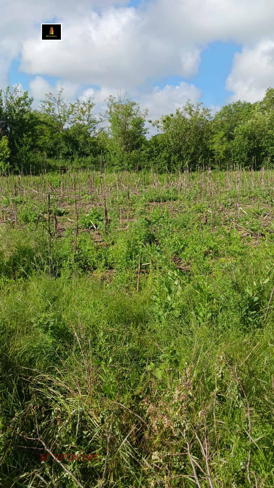Продава ПАРЦЕЛ, с. Кардам, област Добрич