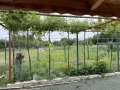 Продава КЪЩА, с. Подвис, област Бургас, снимка 6