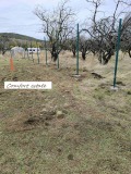 Продава  Парцел град Стара Загора , м-т Беш Бунар , 1524 кв.м | 77641108 - изображение [3]