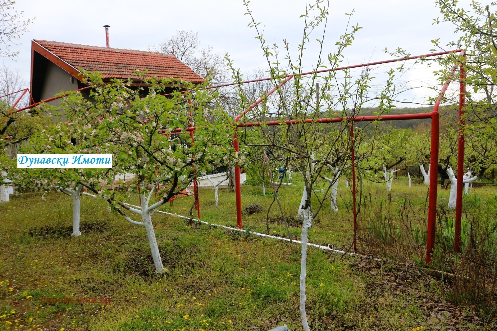 ������� ���� | Imot.bg � ����������� 13